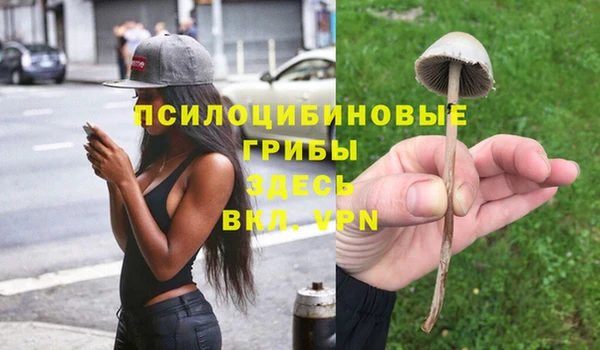 mdma Нязепетровск